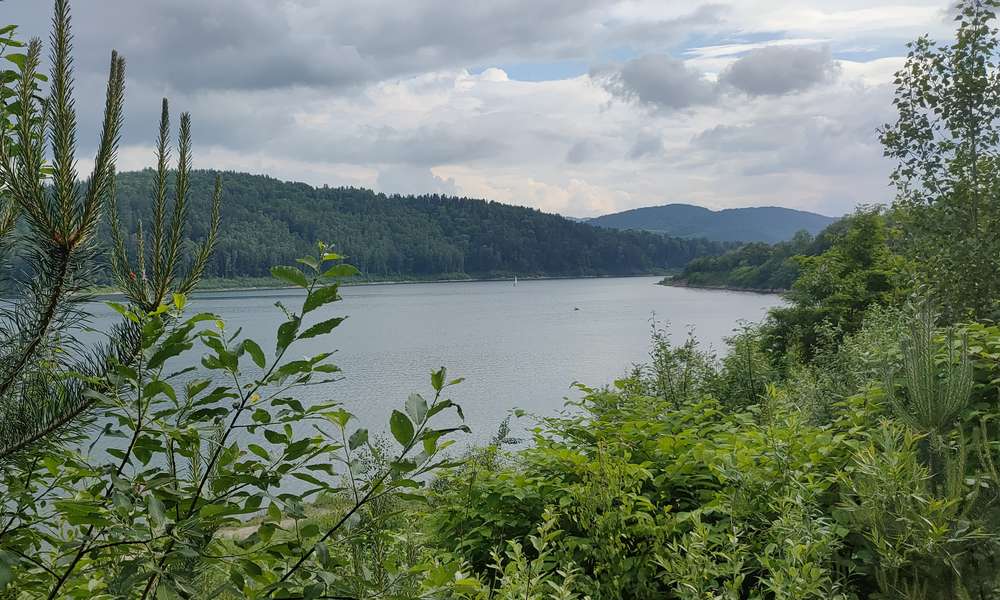 Jezioro Mucharskie